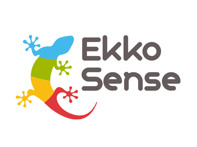 EkkoSense